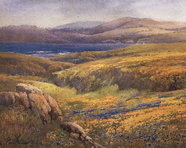 unknow artist Point Lobos in the Springtime oil painting picture